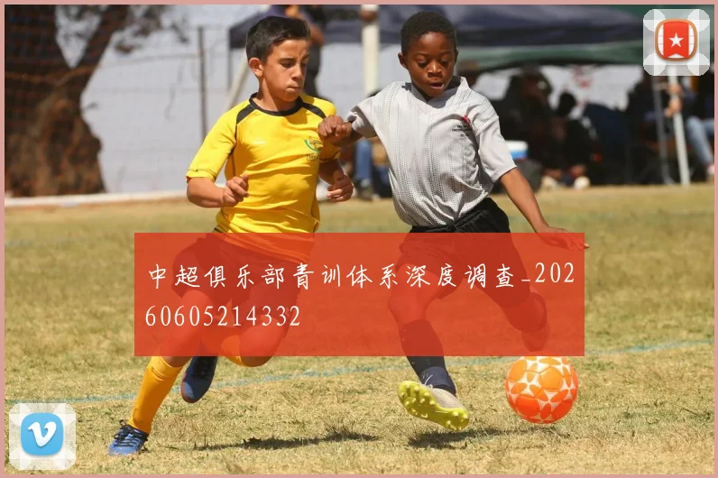 中超俱乐部青训体系深度调查_20260605214332
