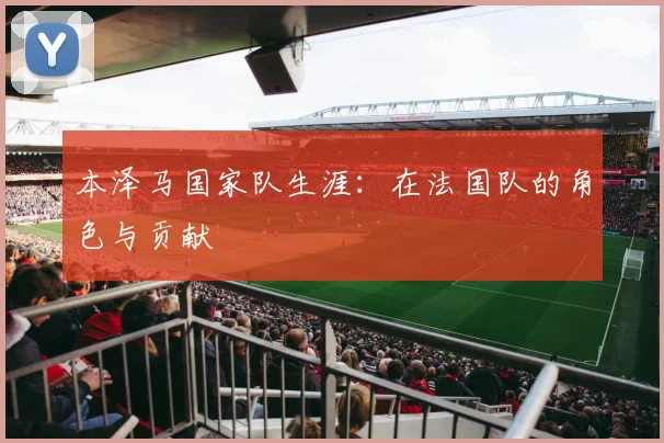 本泽马国家队生涯:在法国队的角色与贡献